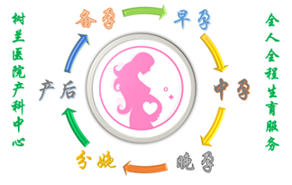 1765420515154106.png 图片1.png